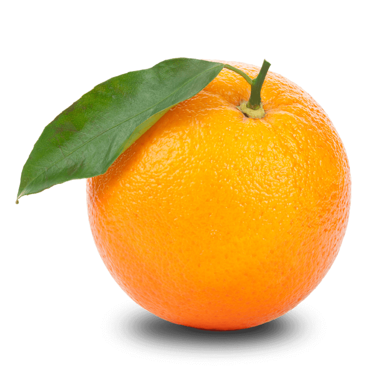 Egyptian Valencia Oranges